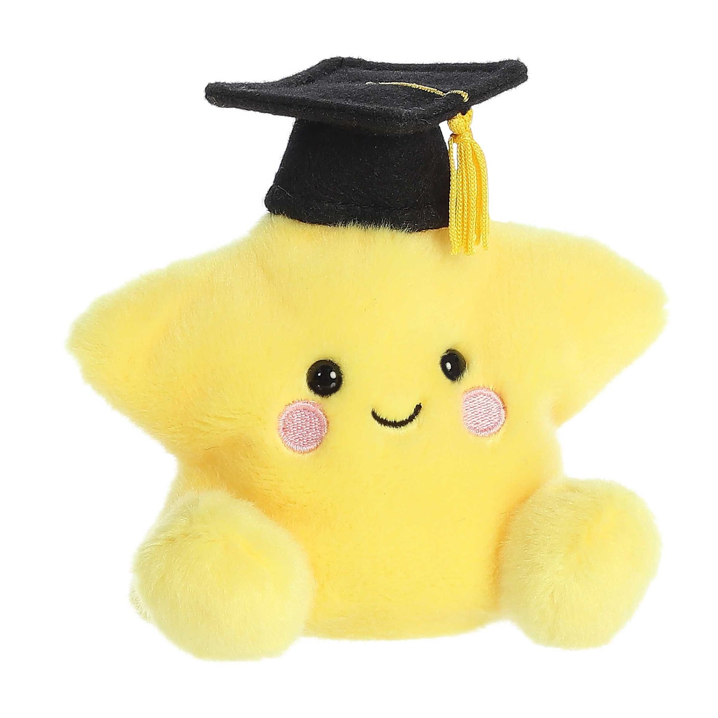 Palm Pals 5" Magna Graduation Star