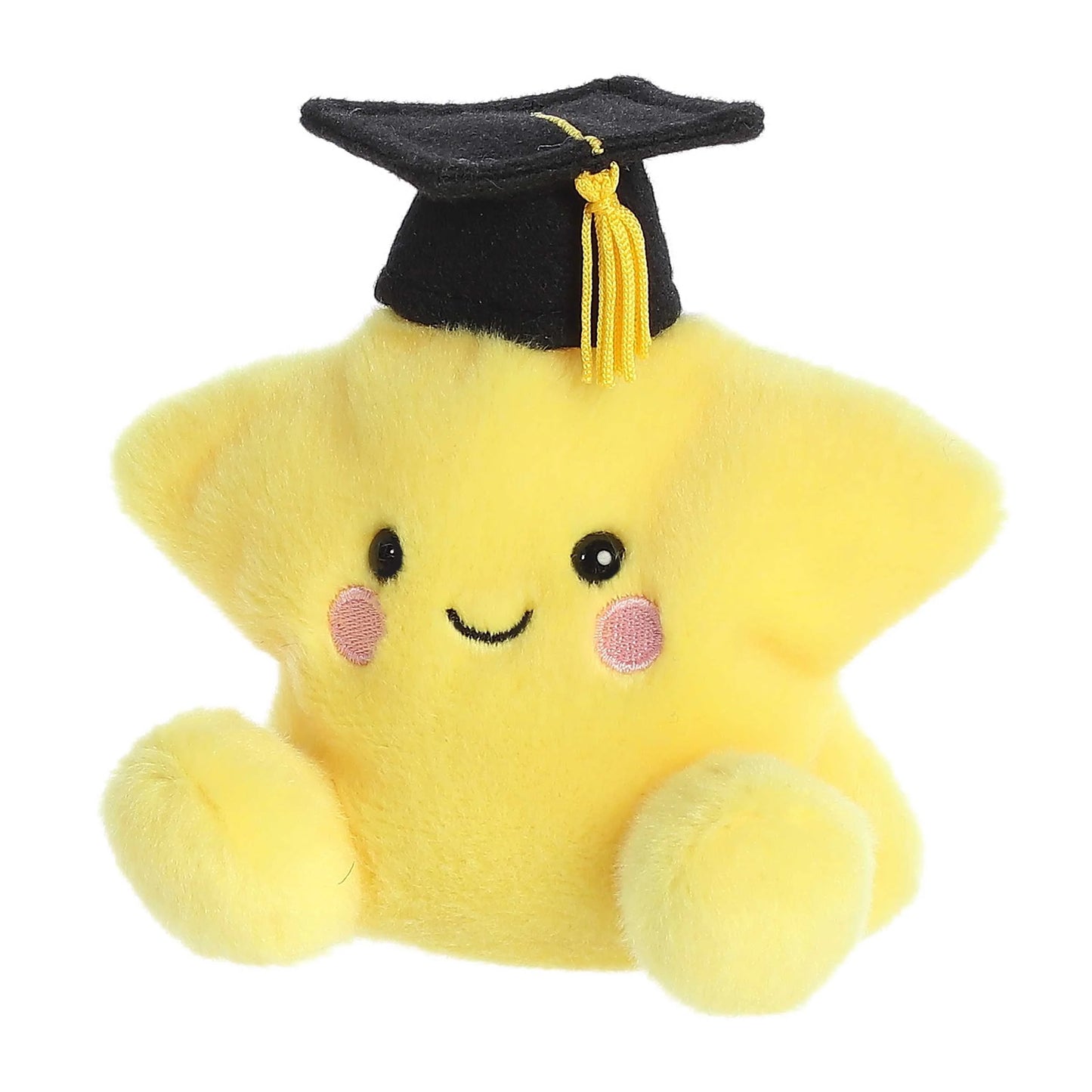Palm Pals 5" Magna Graduation Star