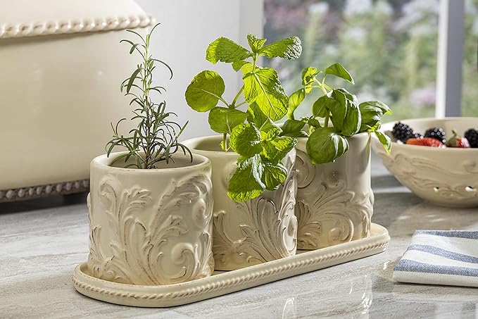 Acanthus Indoor Outdoor Plant Holders With Tray
