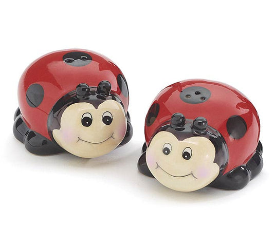 Ladybug Ceramic Salt & Pepper Set