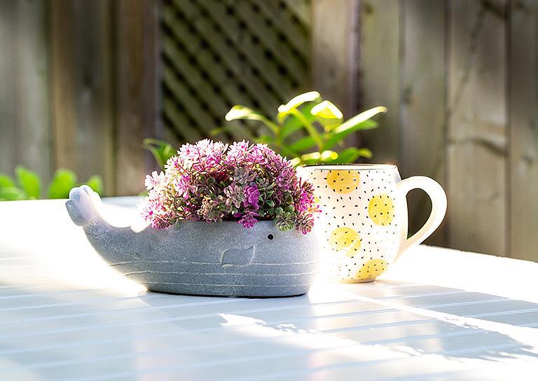 Small Whale Low Planter