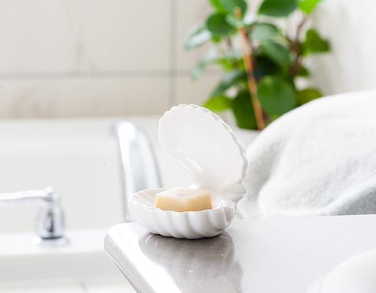 Double Clam Shell Soap Dish