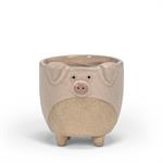 Small Pig On Legs Planter