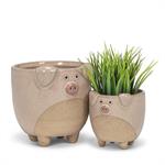 Small Pig On Legs Planter