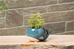Small Whale Planter