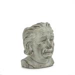 Small Einstein Head Planter