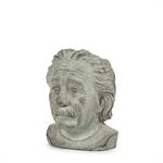 Small Einstein Head Planter