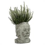 Small Einstein Head Planter