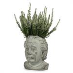 Small Einstein Head Planter