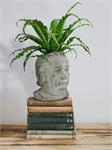 Small Einstein Head Planter