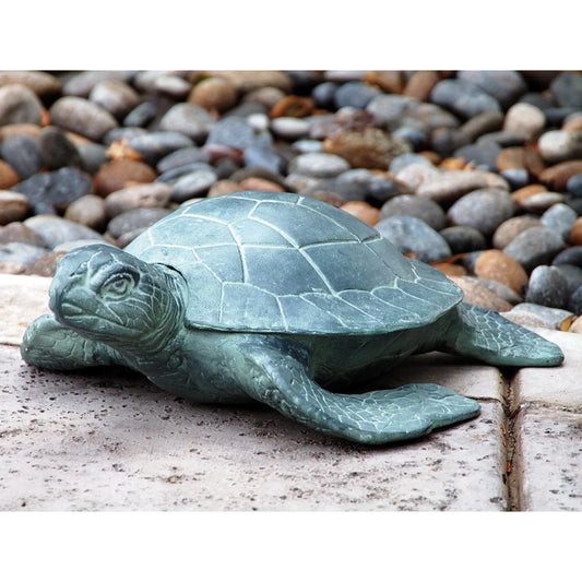 Garden Turtle