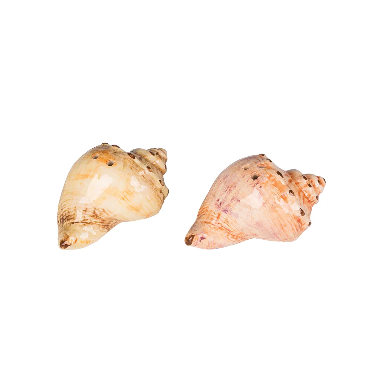 Conch Shell Salt & Pepper Shaker Set