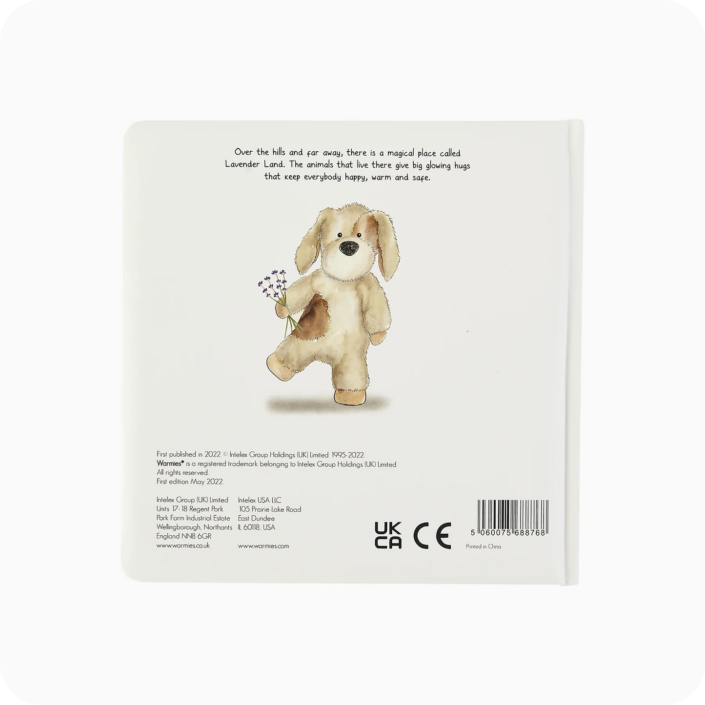 A Special Secret Place Board Book