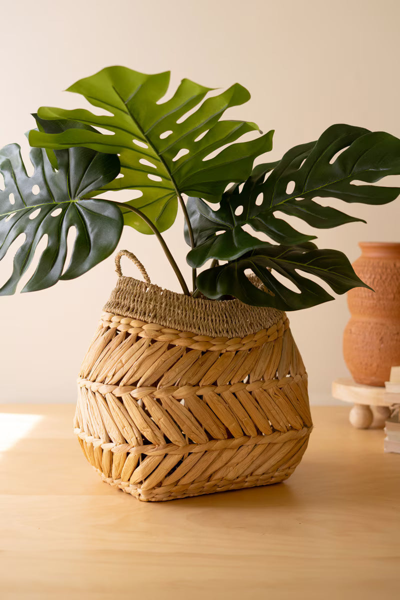 Seagrass Basket with Two Handles