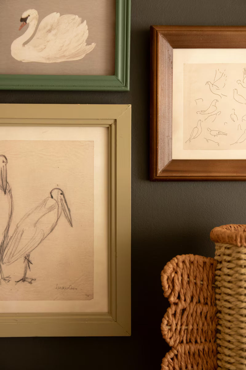 Set of 3 Framed Bird Illustrations Under Glass