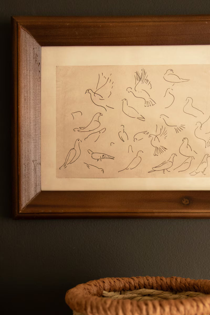 Set of 3 Framed Bird Illustrations Under Glass