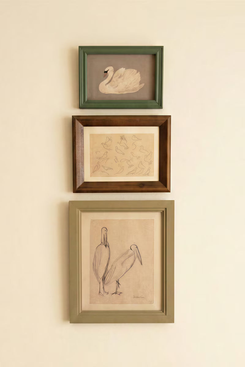 Set of 3 Framed Bird Illustrations Under Glass