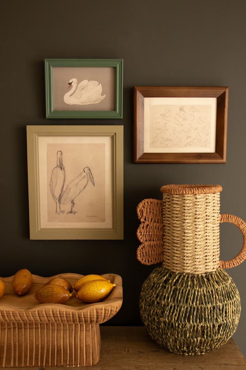 Set of 3 Framed Bird Illustrations Under Glass