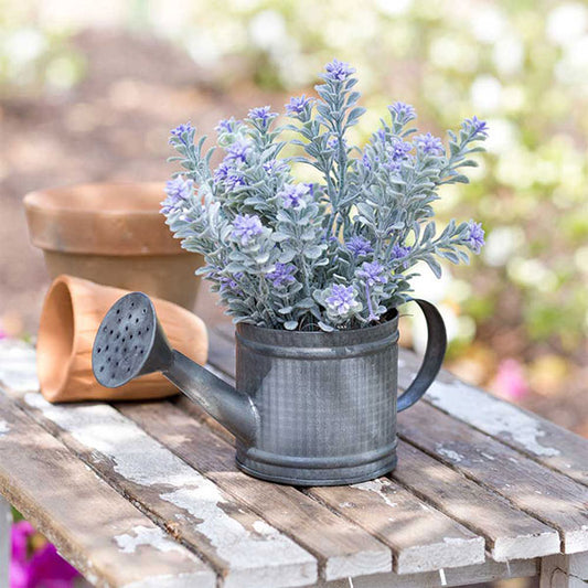 Mini Watering Can Pot