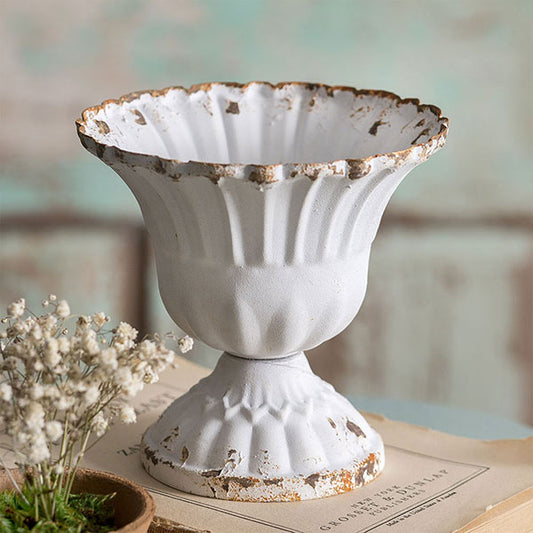 Medium Scalloped Cup