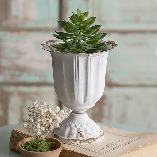 Tall Scalloped Cup