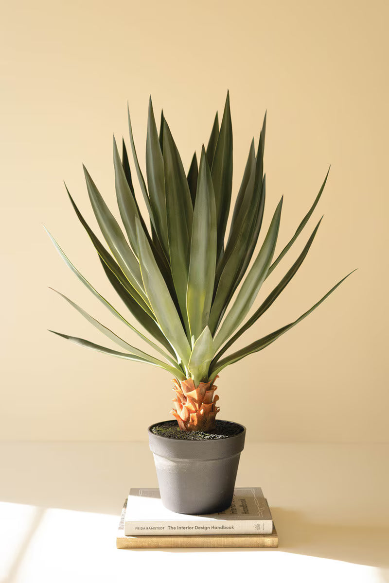 Artificial Sisal Plant in Black Plastic Pot
