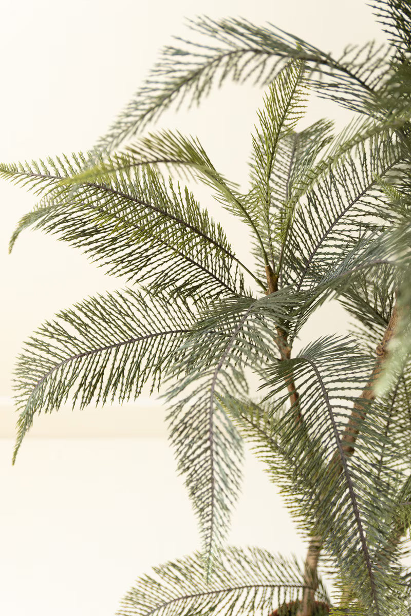 Artificial Whispy Palm in Faux Terracotta Pot