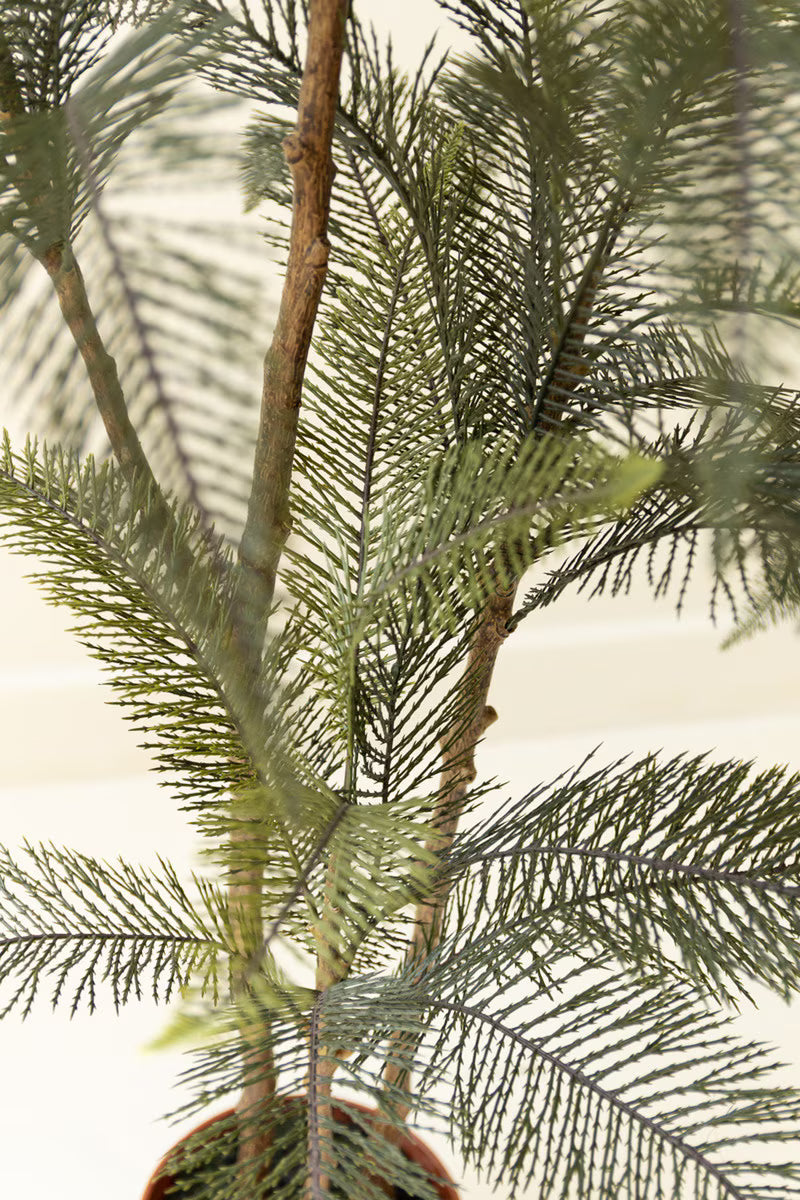 Artificial Whispy Palm in Faux Terracotta Pot