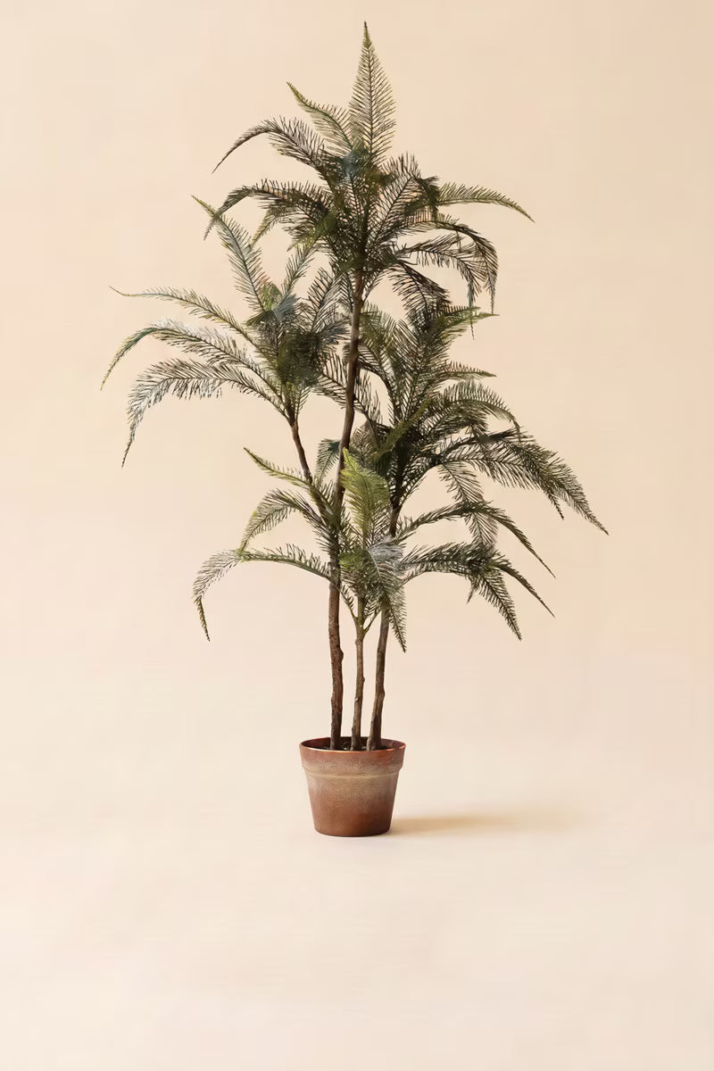 Artificial Whispy Palm in Faux Terracotta Pot