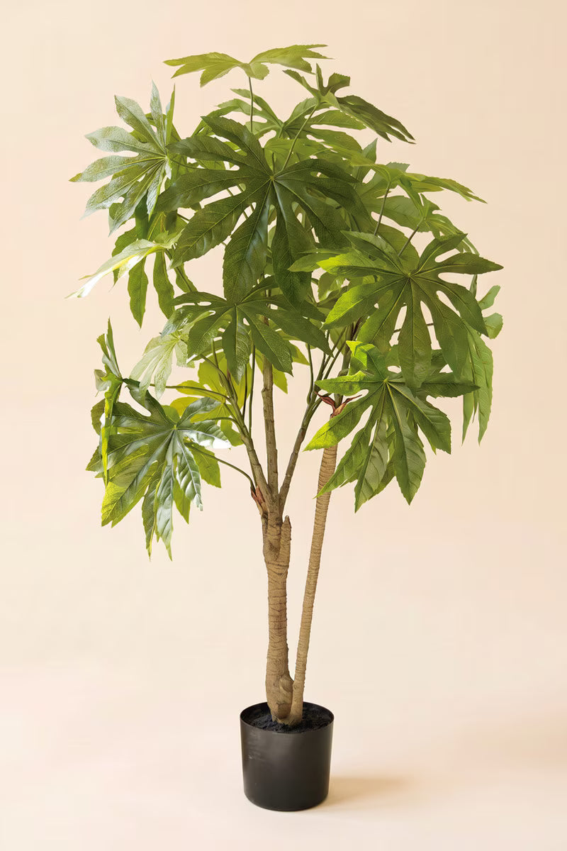 Artificial Fatsia in a Black Plastic Pot