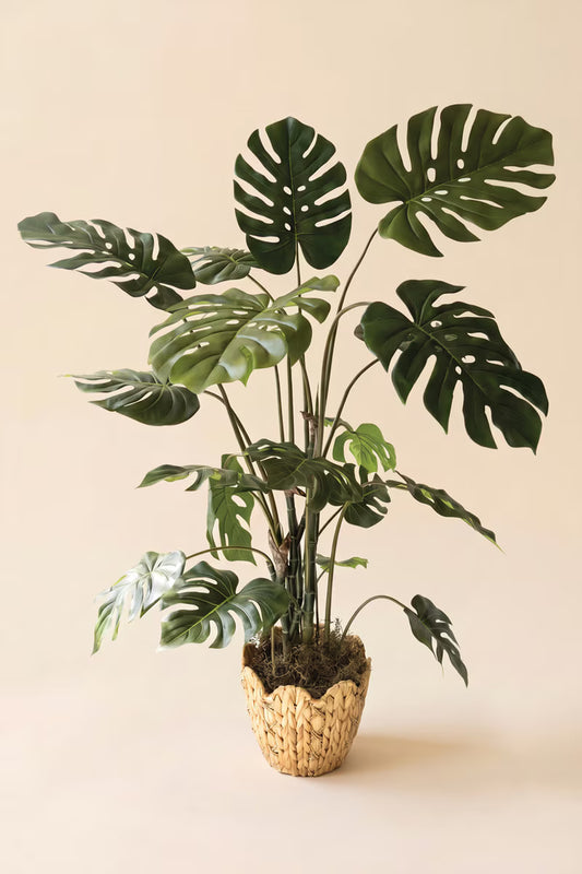 Artificial Monstera Plant in a Black Plastic Pot