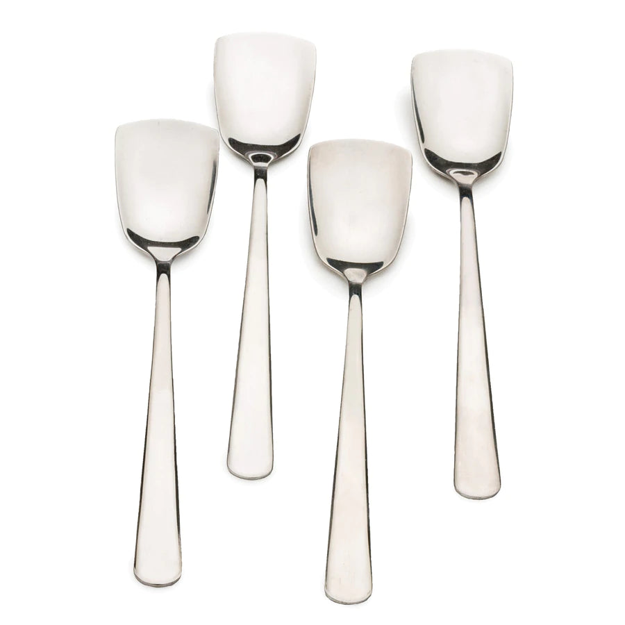 Endurance Ice Cream Spoons Set Of 4