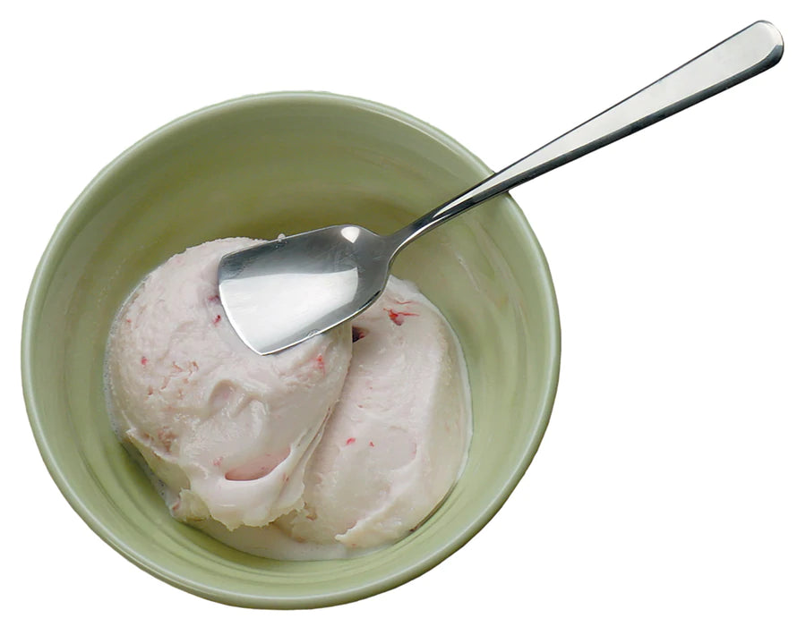 Endurance Ice Cream Spoons Set Of 4