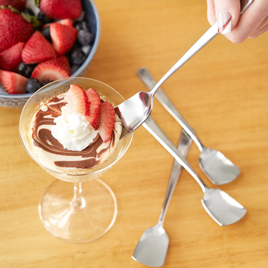 Endurance Ice Cream Spoons Set Of 4