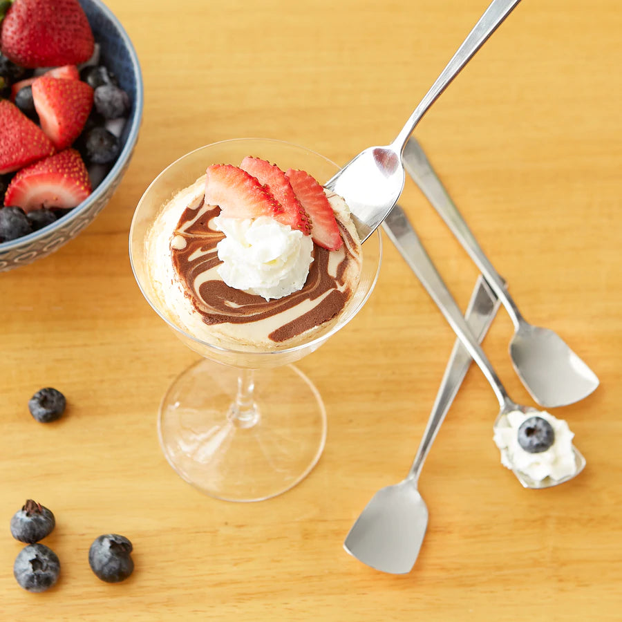 Endurance Ice Cream Spoons Set Of 4