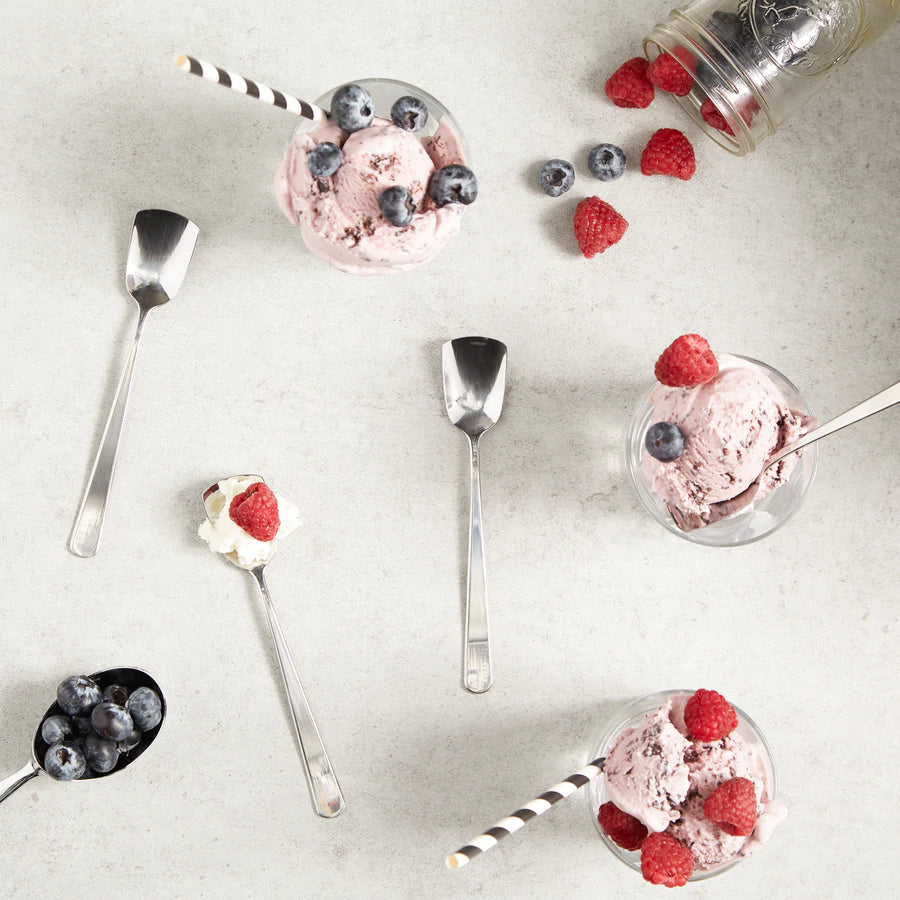 Endurance Ice Cream Spoons Set Of 4