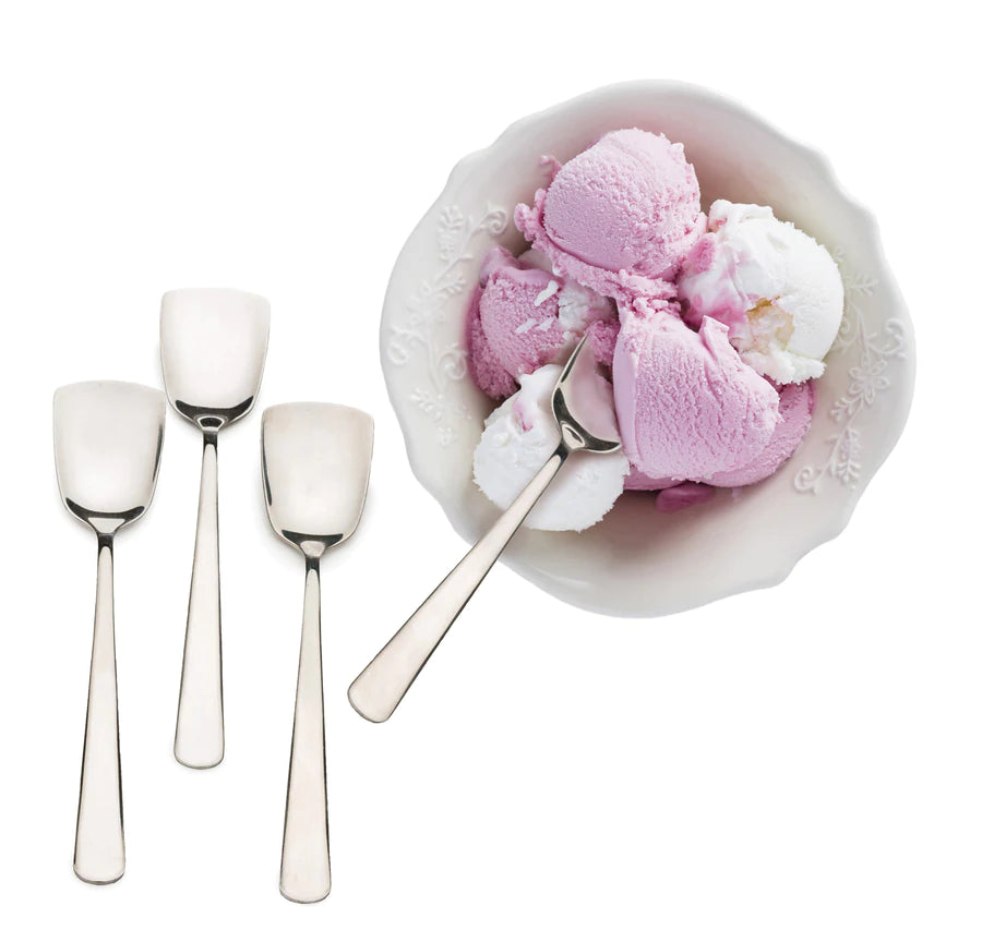 Endurance Ice Cream Spoons Set Of 4
