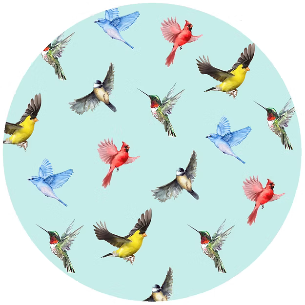Multi Birds Blue Jar Opener