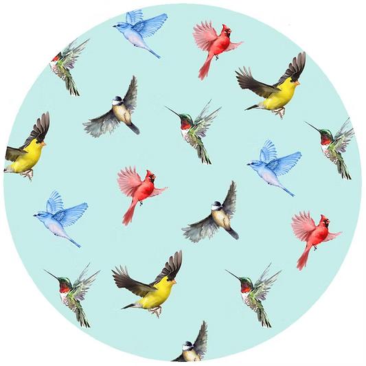 Multi Birds Blue Jar Opener