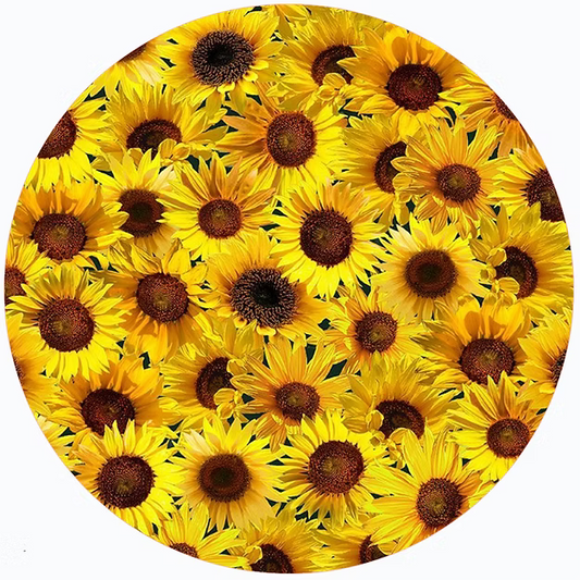 Sunflower Jar Opener