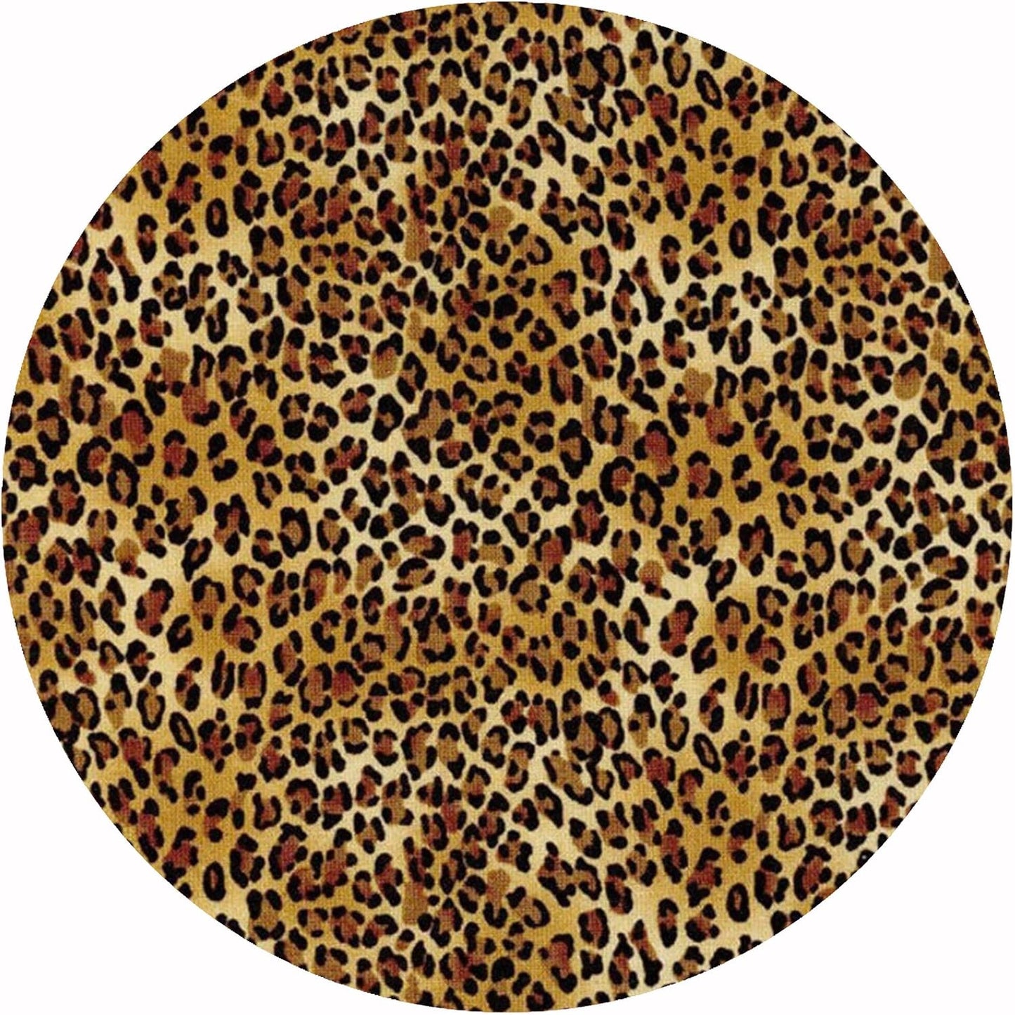 Cheetah - 952