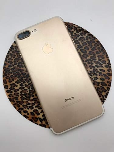 Cheetah - 952