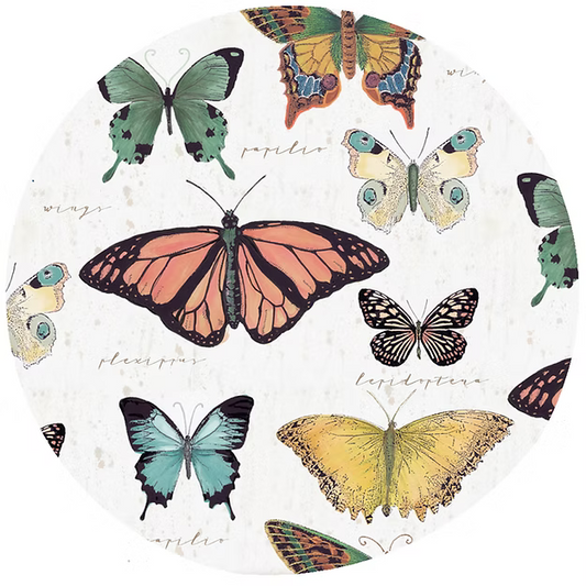 Butterly Jar Opener