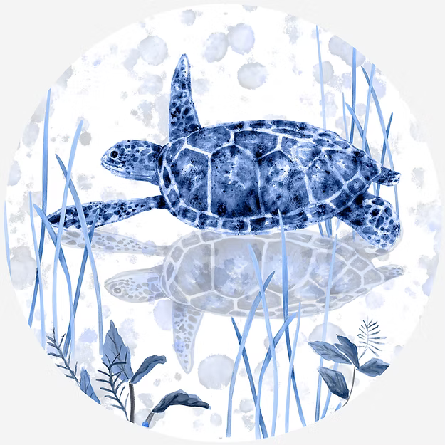 Sea Turtle Jar Opener