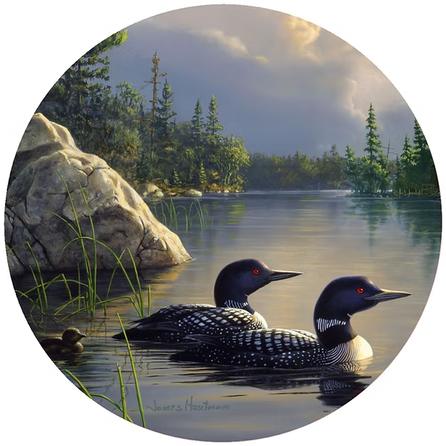 Gathering Storm Jar Opener