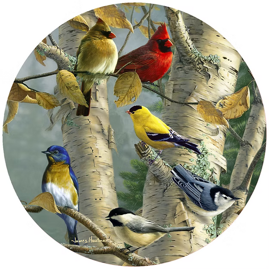 Songbird Favorites Jar Opener