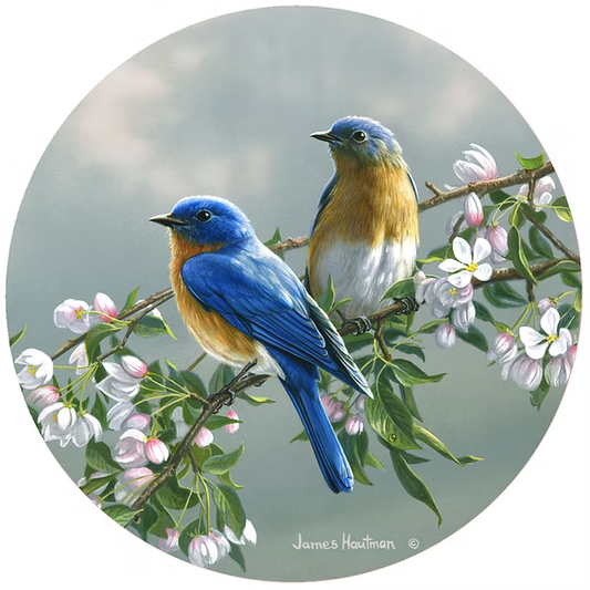 Spring Blossom Bluebirds Jar Opener