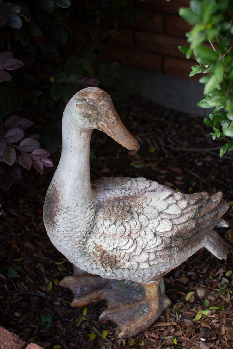 Faux Concrete Duck Head Up