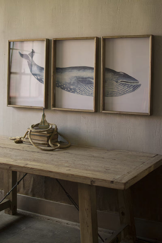 Framed Whale Triptych Print Under Glass