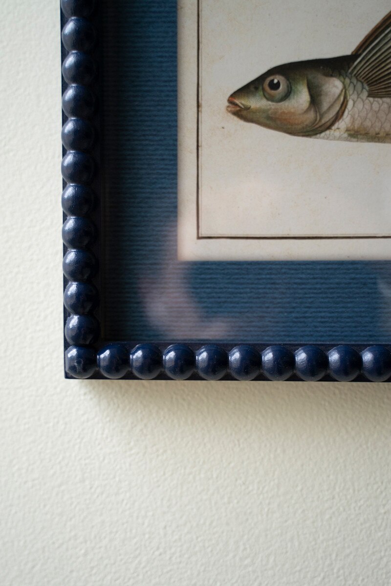 Set of 2 Navy Framed Fish Prints under Glass